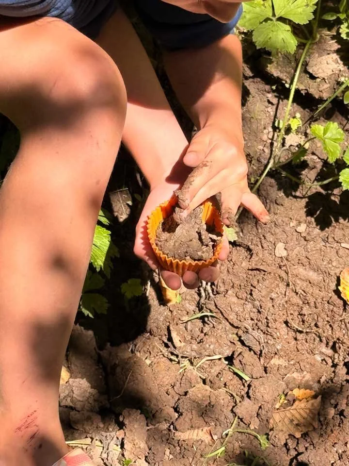 Child planting a seed in cracked soil using a small gardening tool, surrounded by green plants and sunlight.