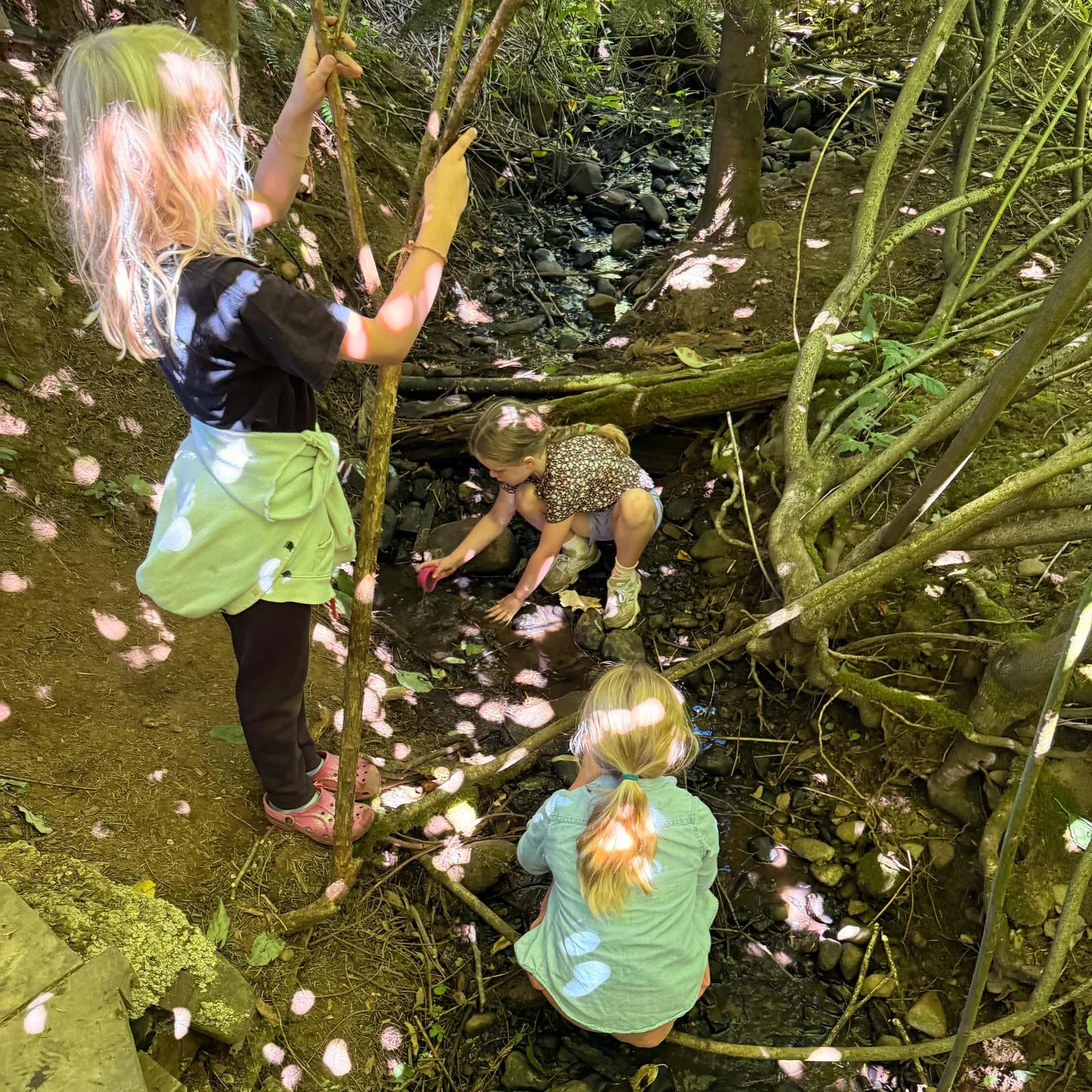 Children exploring a small creek in a wooded area, with one child standing and looking into the water while another is crouched down reaching into the creek.