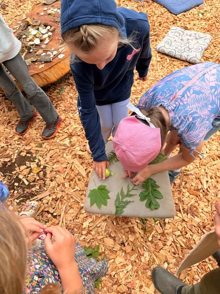 Children gathered around a small table outdoors, examining various leaves placed on the table, with wood chips on the ground.
