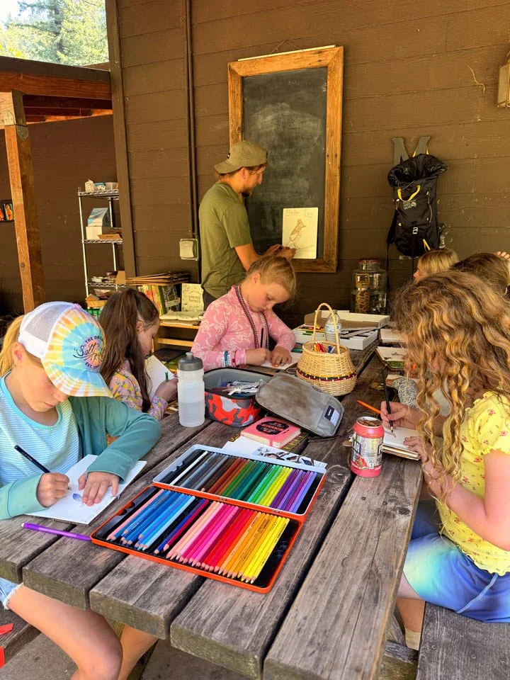 Group of children sitting at a picnic table drawing, with art supplies on the table, inside a wooden shelter, while a young man stands at a blackboard holding a drawing of a bird.