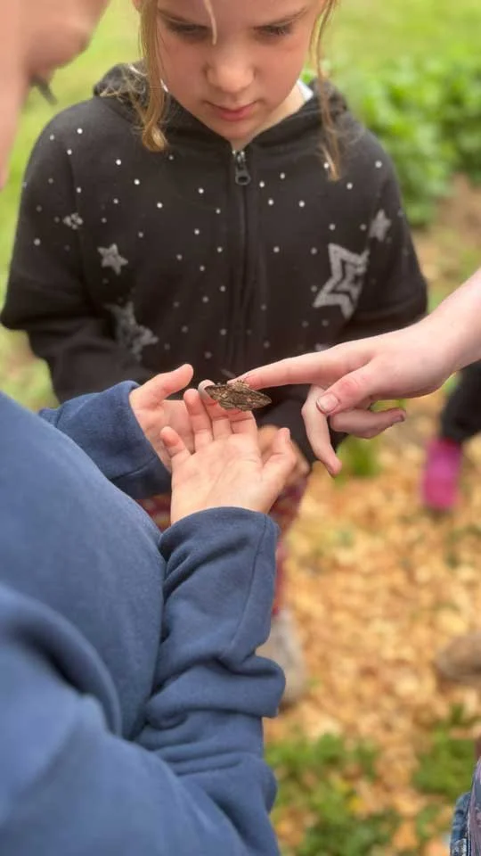 Two children are outdoors, engaging with a butterfly. One child with blonde hair in a black hoodie with star patterns is looking down at the butterfly, while another child in a blue hoodie is holding the butterfly gently in their hands. The background shows a natural, green environment with fallen leaves.