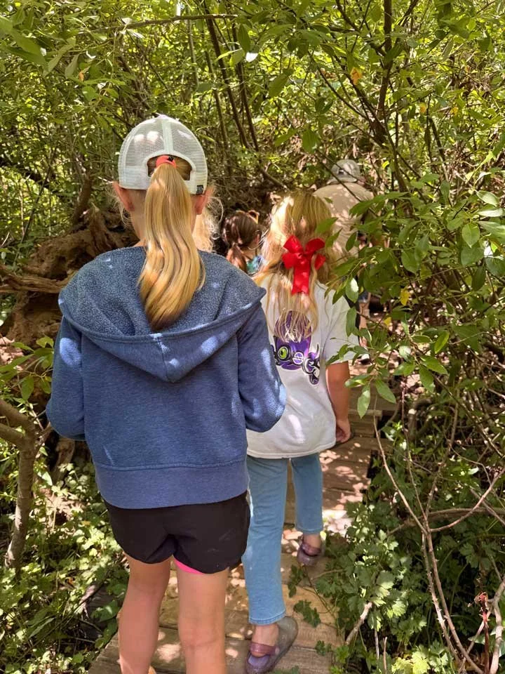 Young girls walking through a narrow, leaf-covered trail in a dense, green forest.