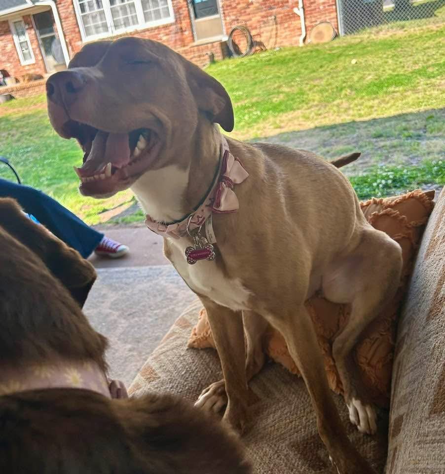 Ruby Squirrel