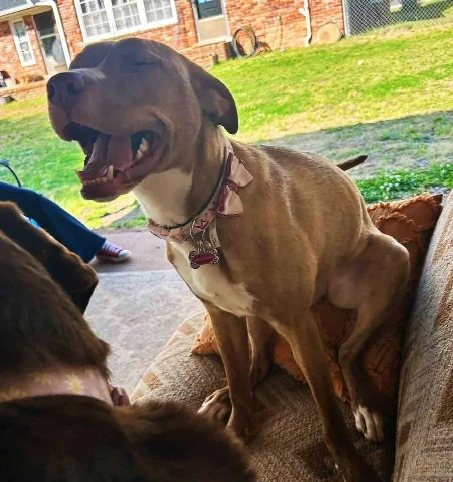 Ruby Squirrel
