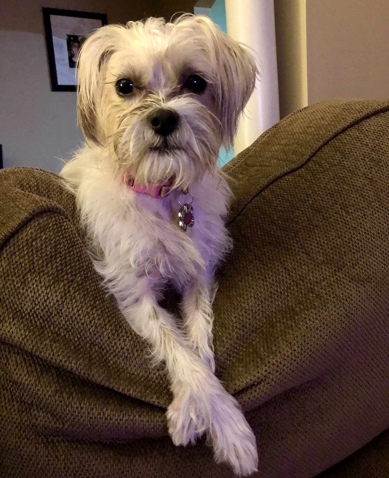 Luna Ross