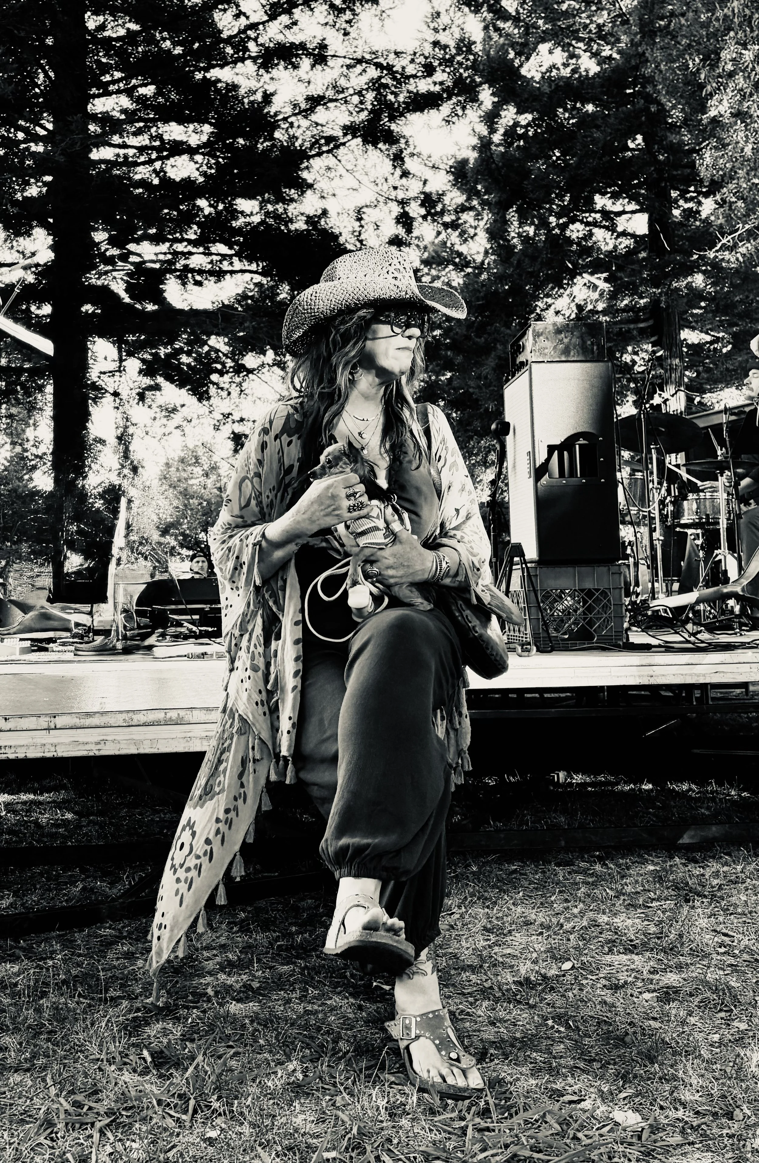 A woman wearing a large straw hat, glasses, and a patterned shawl, sitting on a stage, holding a small dog, with a musical setup on a stage behind her, in an outdoor setting with tall trees.