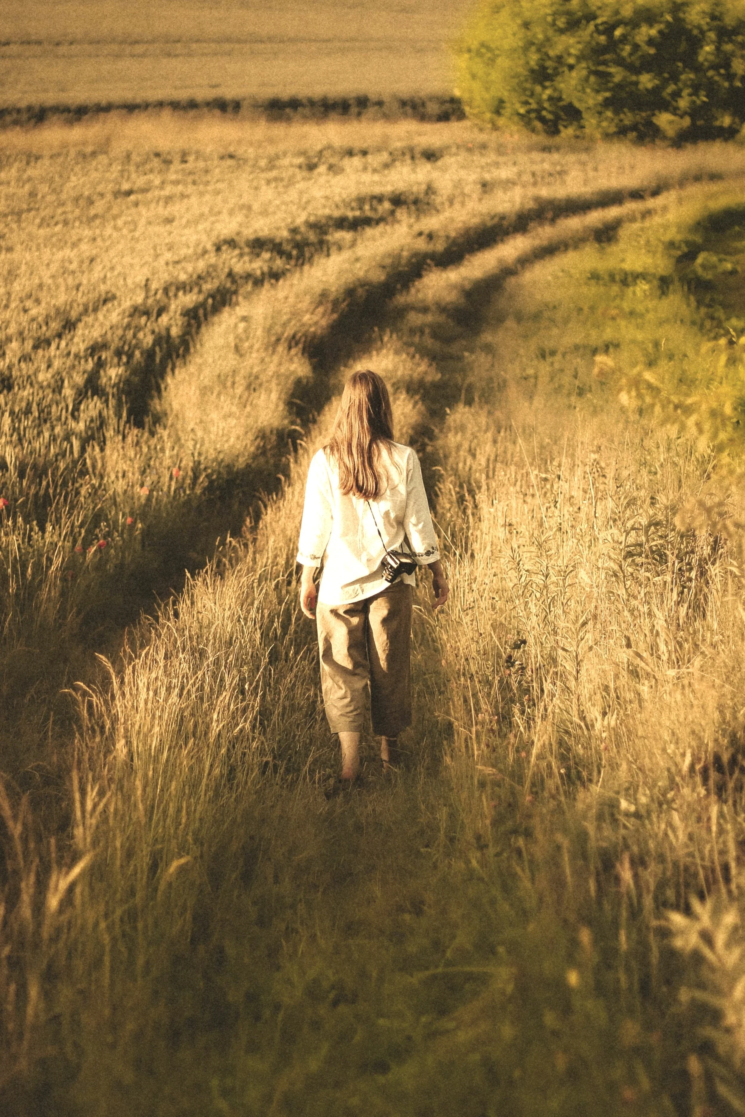 A woman with long hair wearing a white shirt and beige pants is walking on a narrow dirt path through a golden field of tall grass, with trees along the horizon under a warm, golden light.
