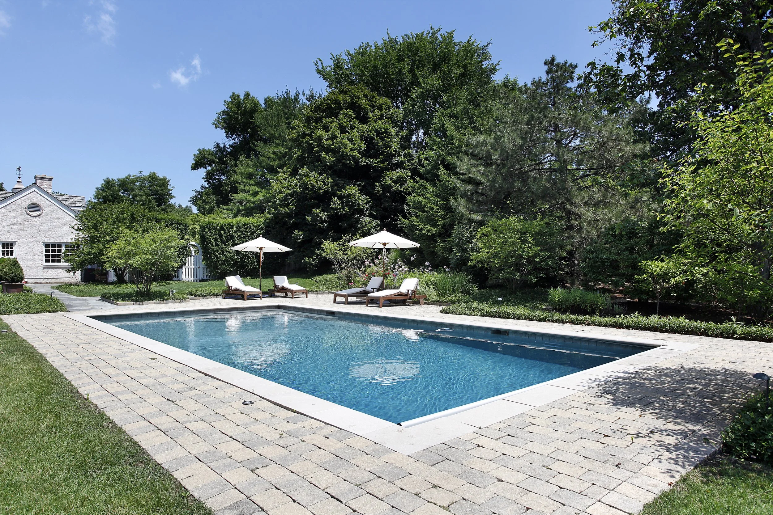Backyard paradise featuring a custom gunite pool, patio, and outdoor living space