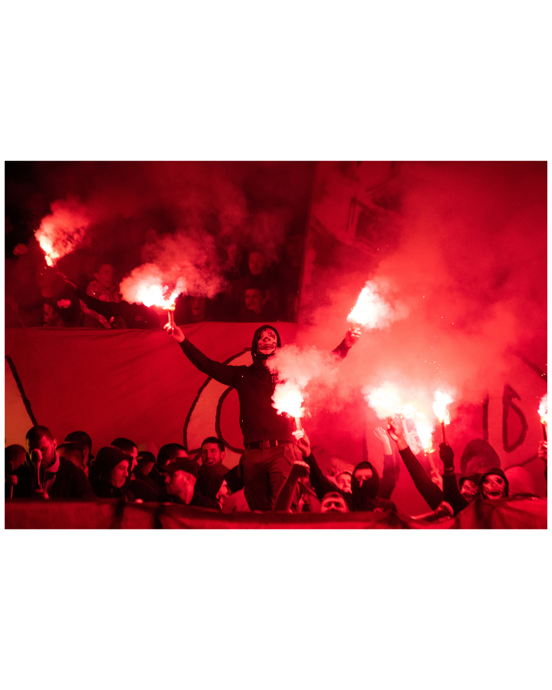 bengales belgrad.png