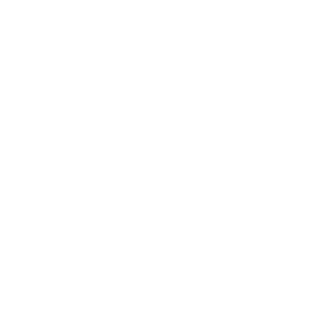 Responsive Icon