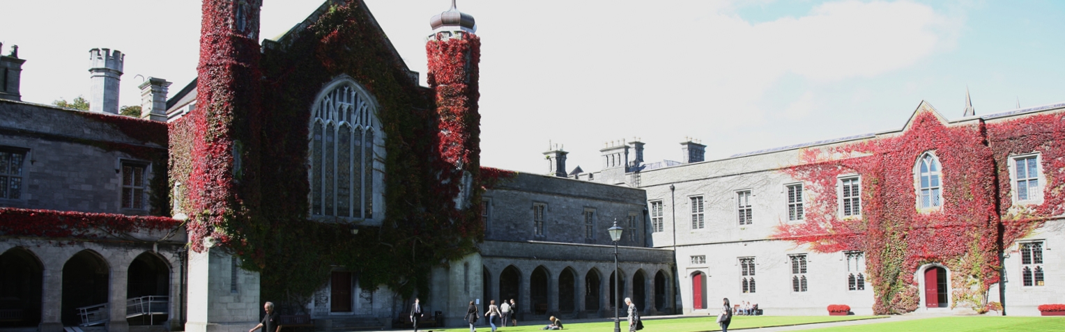 about-nui-galway-27.05.15.jpg