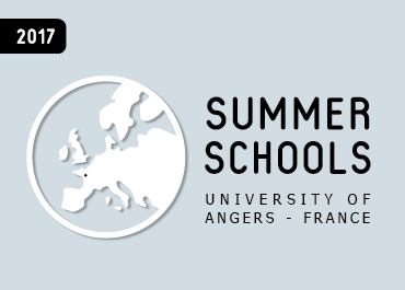 Medicine Summer School: Angers, France