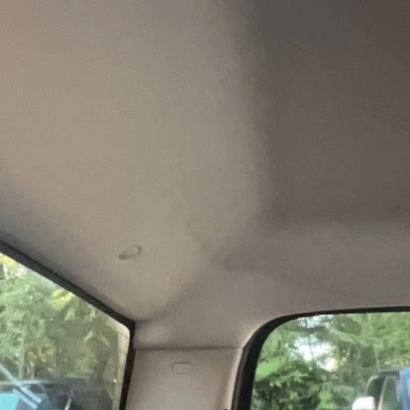 Inside of a vehicle showing a beige ceiling, a small dome light, and a side window with trees visible outside.