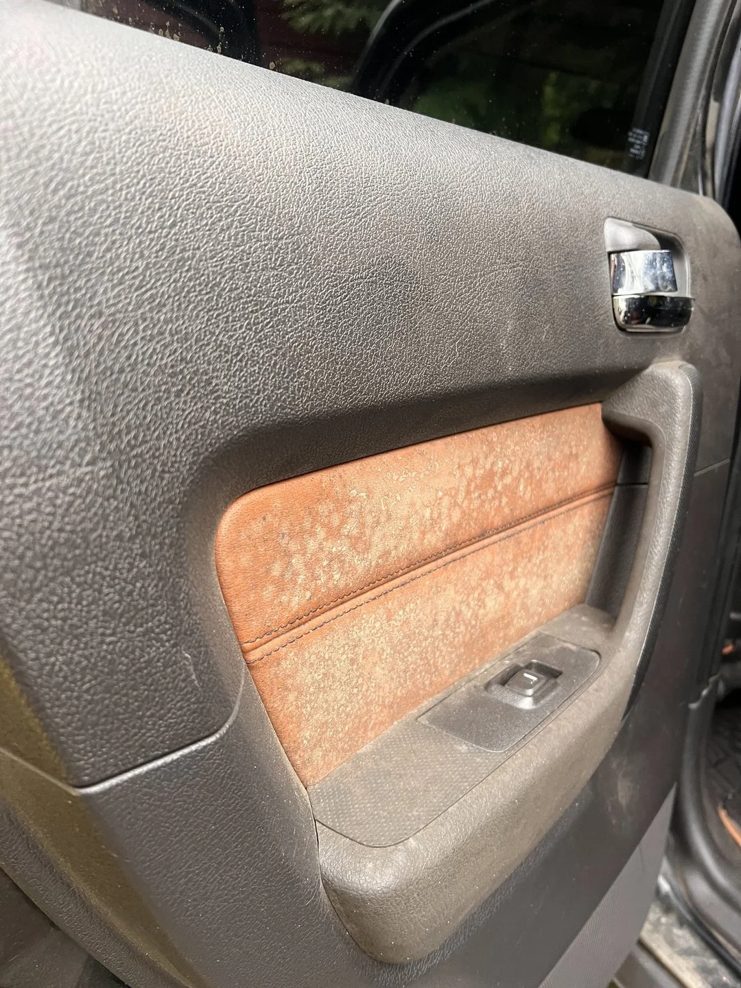 Vehicle mold assessment — Organic contamination documented on interior door trim.