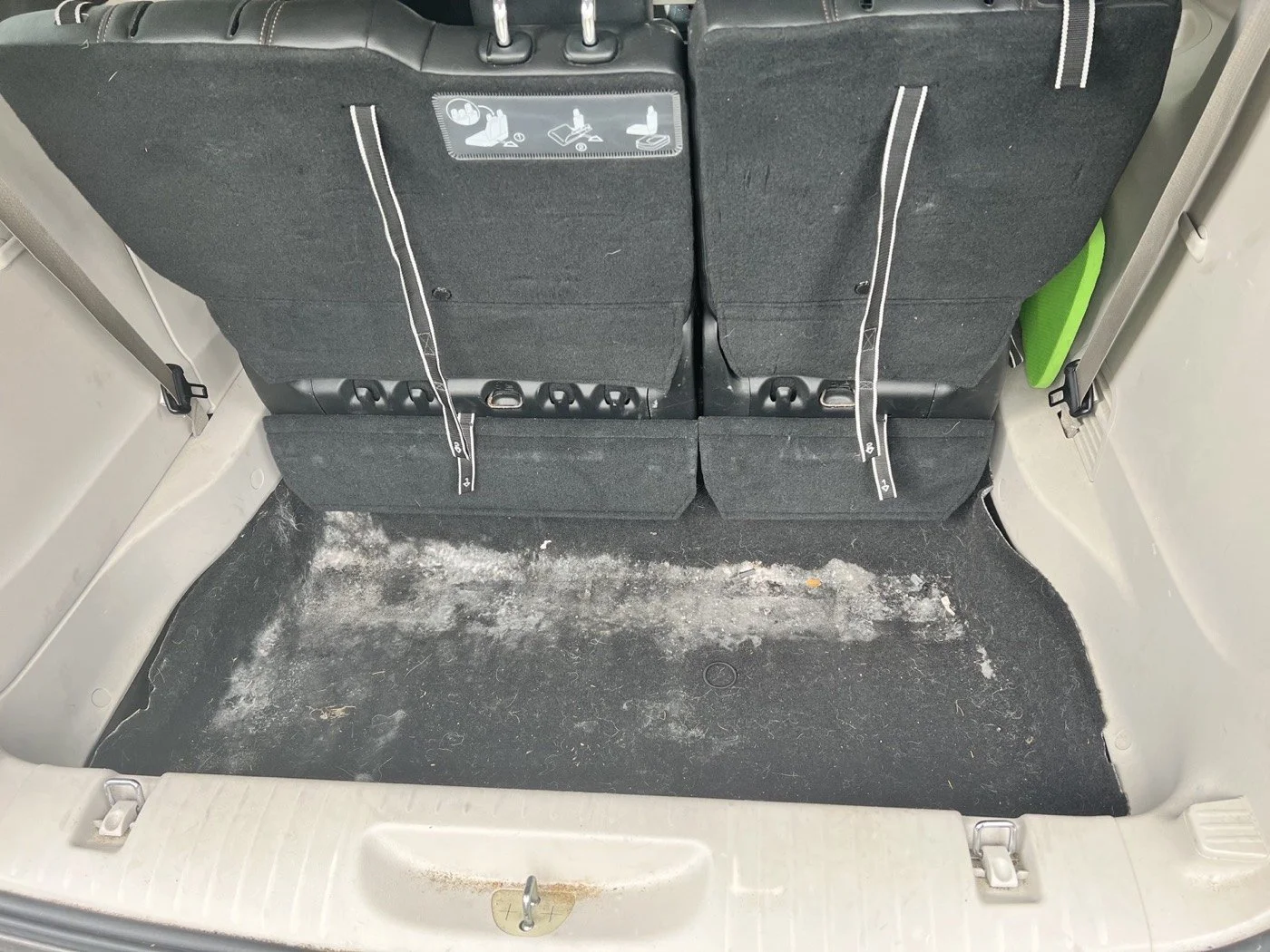 Backseat area of a vehicle with dirty black carpet, showing the backs of the rear seats with instructions for child car seats, and a green object on the right side.