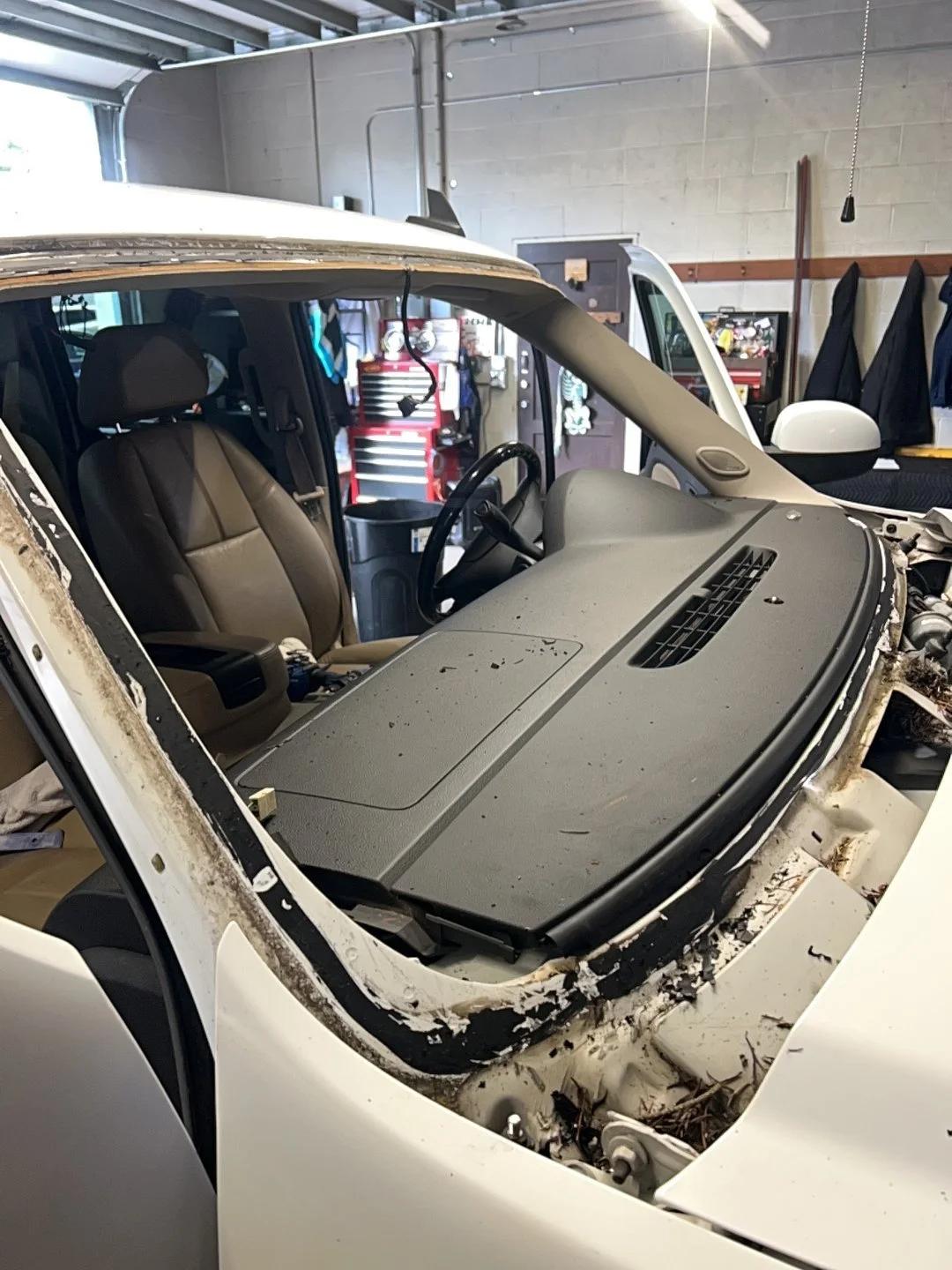 Windshield service — Glass removed to expose the bonding surface.