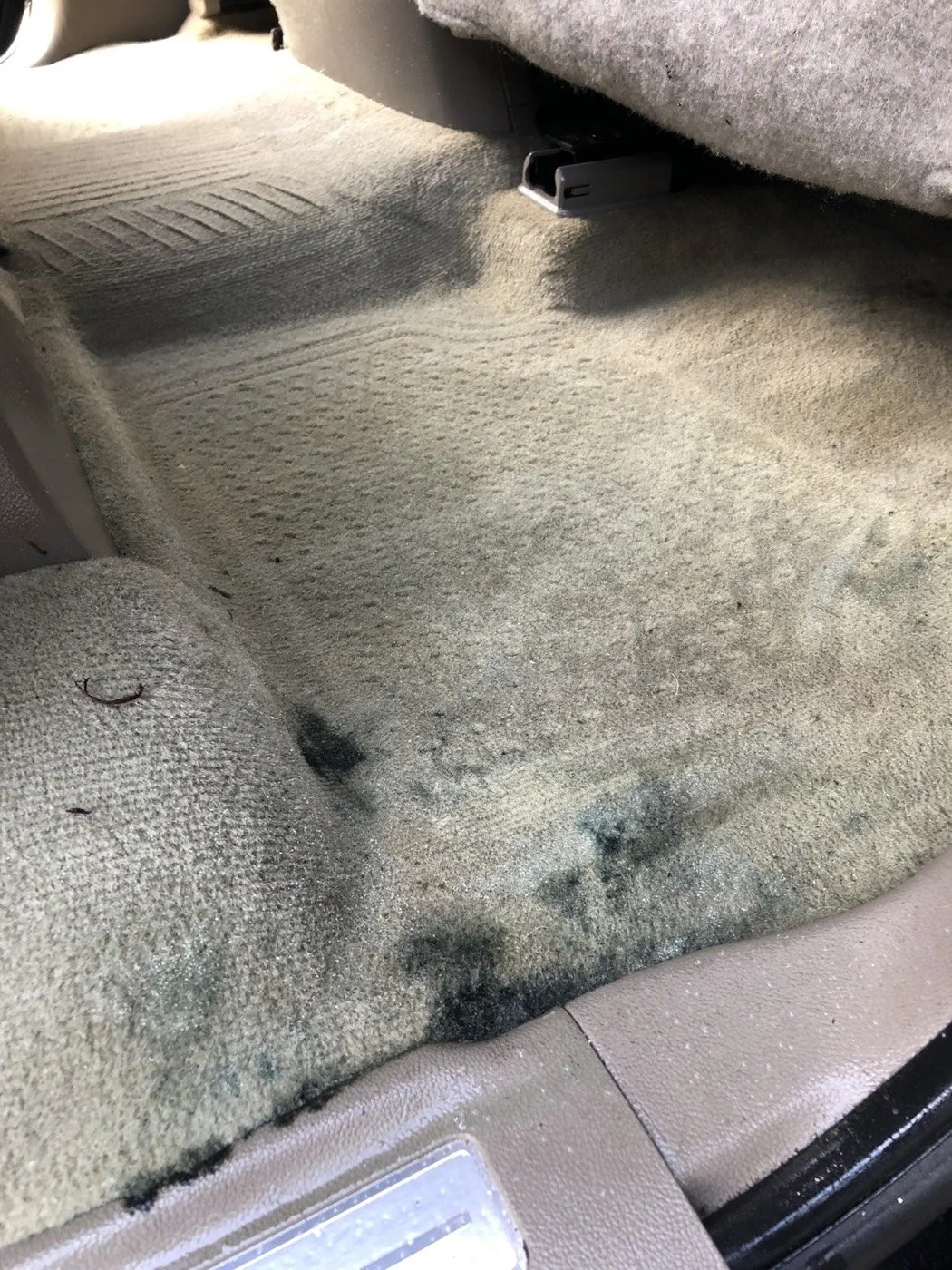 Car interior with dirty beige carpet, showing stains, dirt, and debris.
