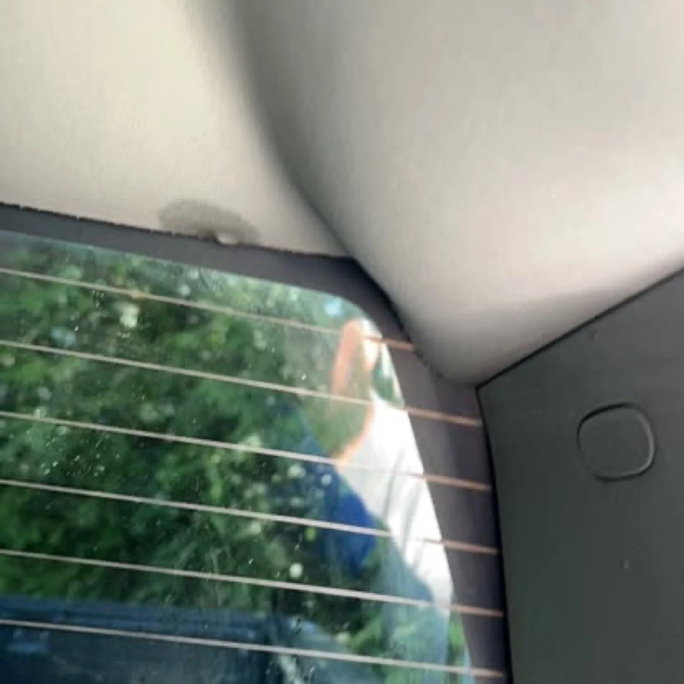 View from inside a car showing the rear window with defroster lines, a green tree outside, and part of the car's interior ceiling and side panel.