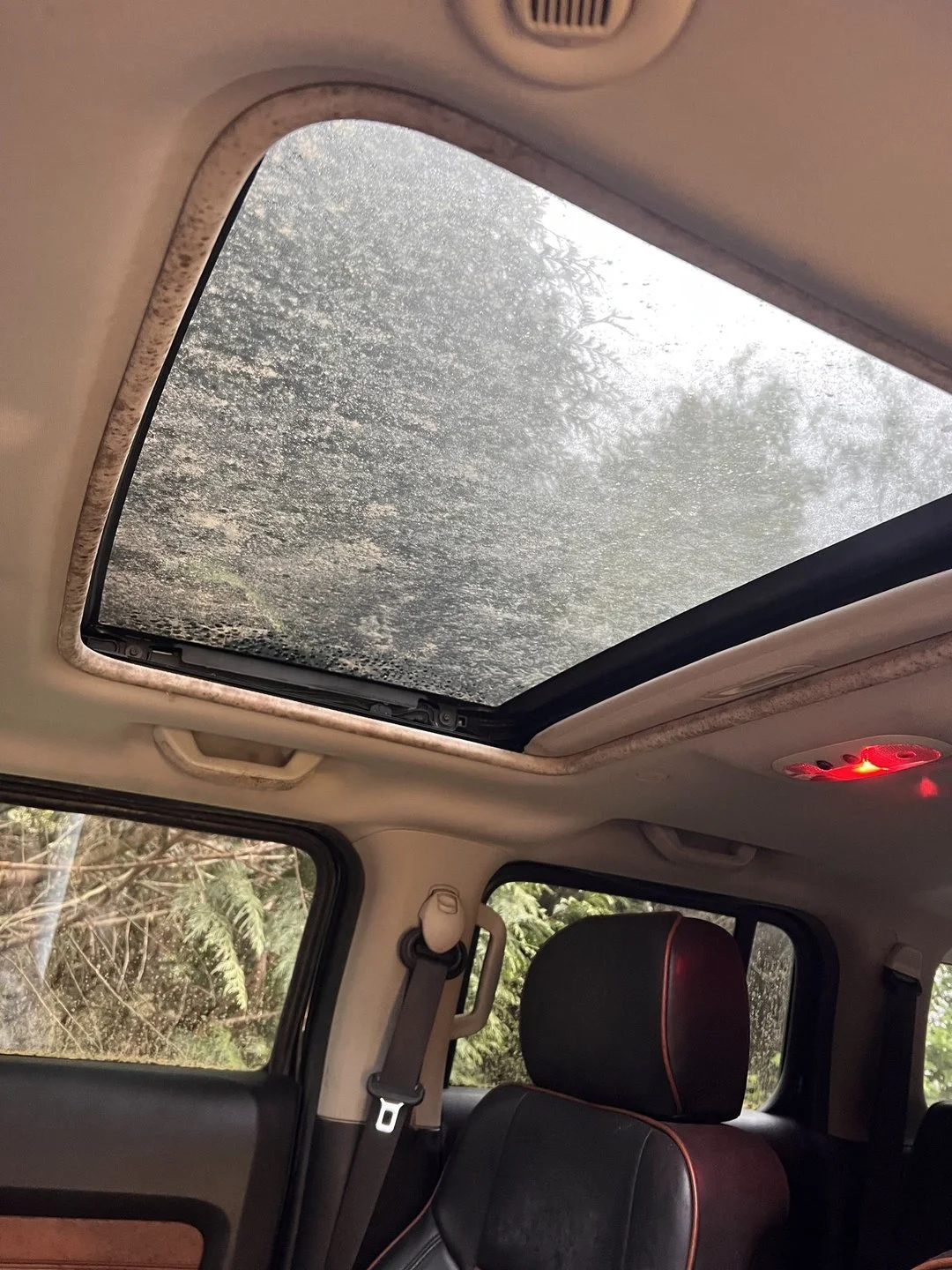 Vehicle mold assessment — Headliner, roof opening, and surrounding surfaces documented before remediation.