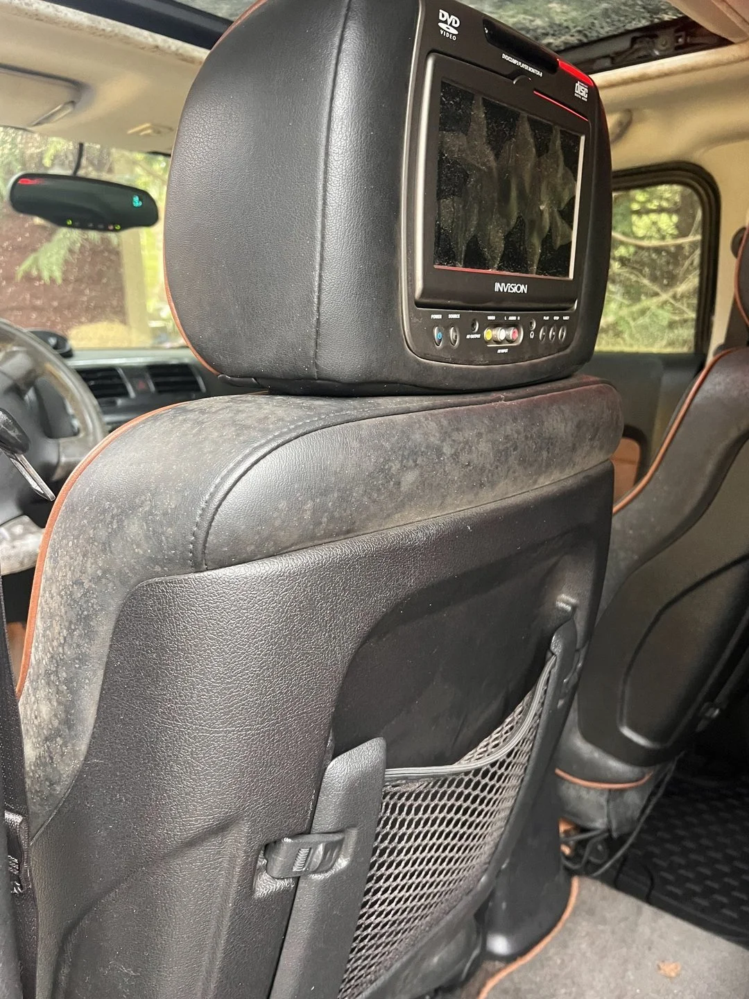 Vehicle mold assessment — Mold-like spotting documented on the rear seatback before remediation.