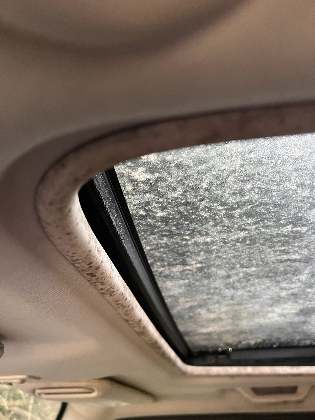 Vehicle mold assessment — Contamination documented at the glass edge and surrounding trim.