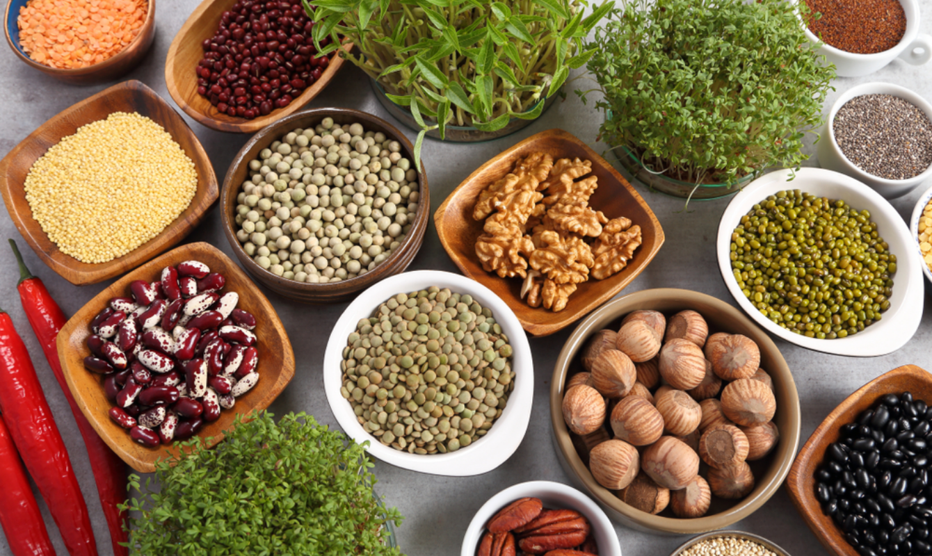 Proteína vegetal: alimentos, beneficios y las mejores fuentes para una dieta equilibrada
