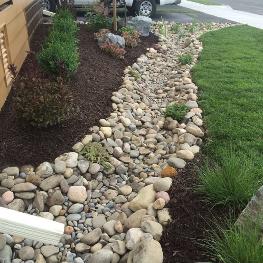 A landscaped garden with a variety of plants, mulch, and decorative rocks along a residential yard. A sidewalk and parked car are visible in the background.