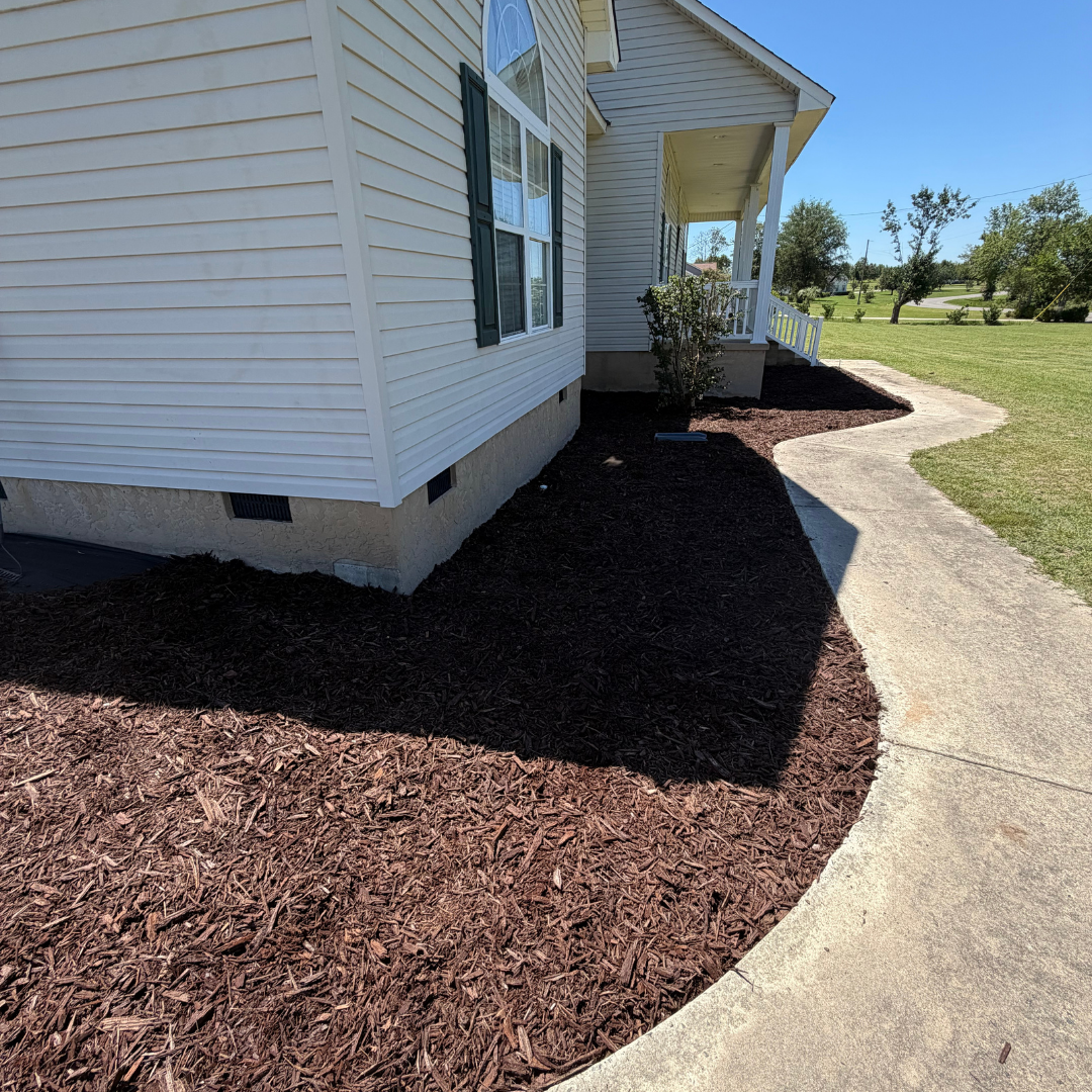 A freshly landscaped yard with mulch around the foundation of a beige house, featuring a small bush near the porch and a curved concrete walkway leading away from the house on a sunny day.