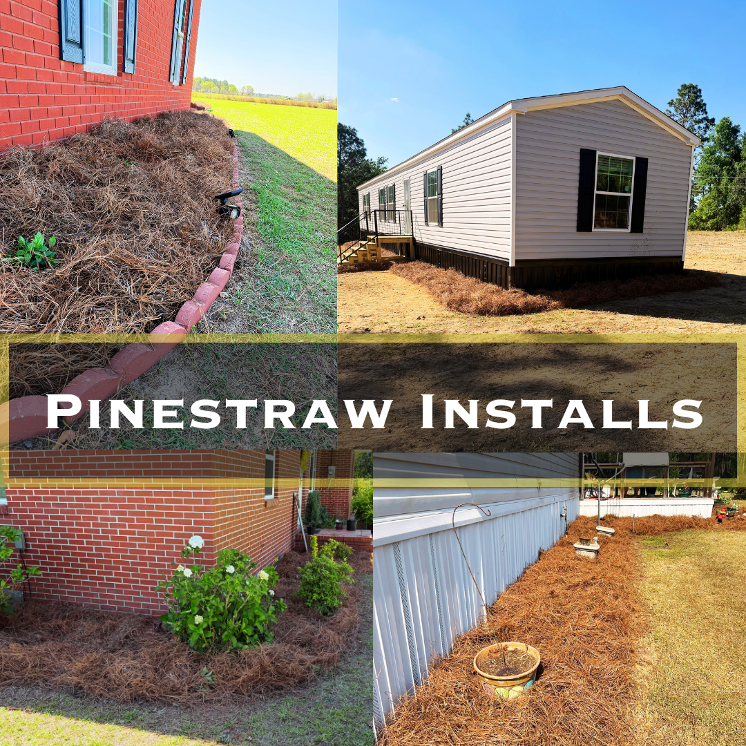 Collage of four outdoor scenes showing pine straw installations around house foundations, with a central text overlay reading "PineStraw Installs".