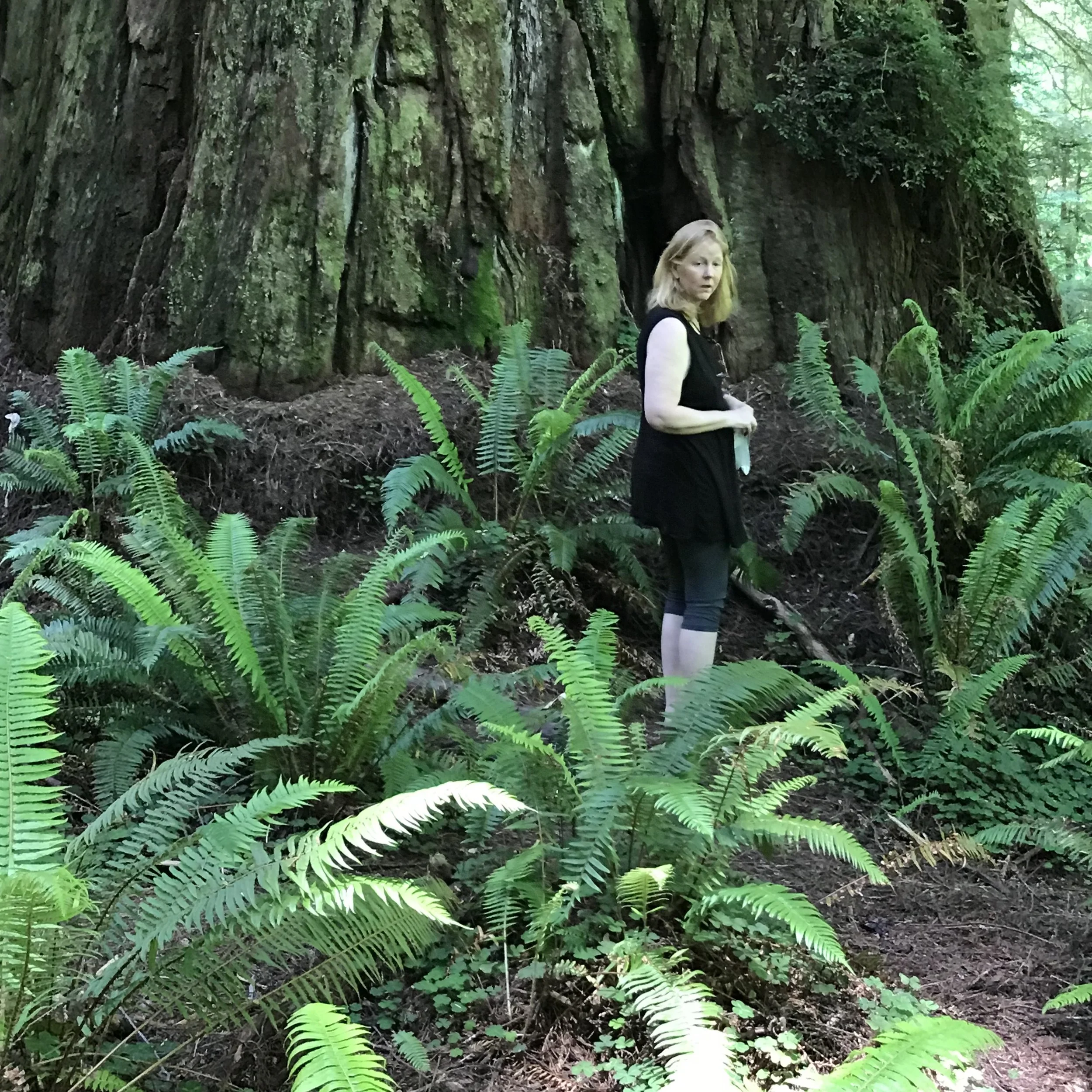 A young woman with blonde hair wearing a black and white top and black leggings stands among green ferns and tall trees in a forest.