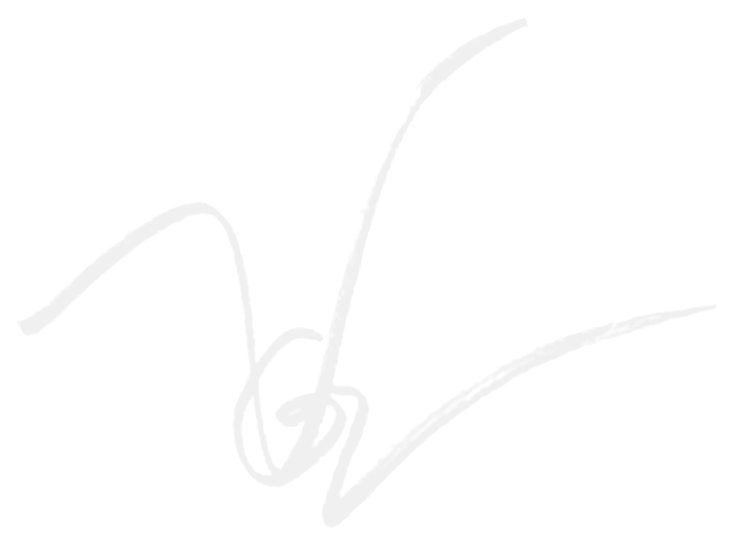 vogelawenydd.com