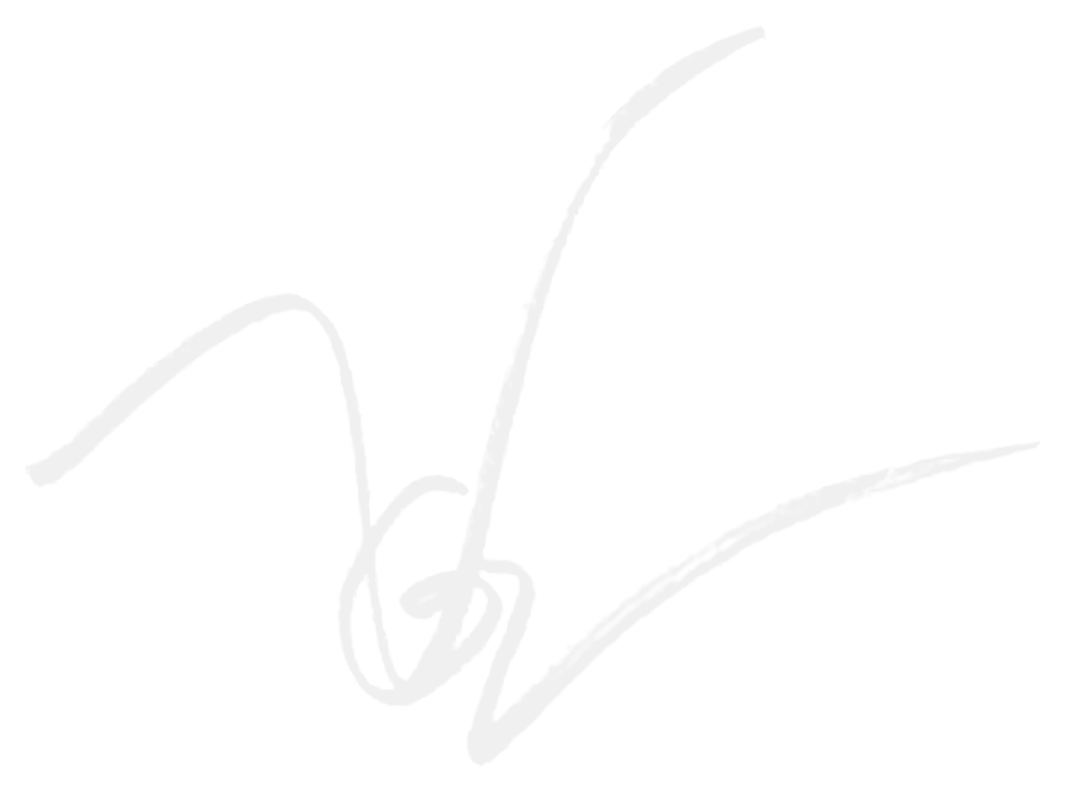 vogelawenydd.com
