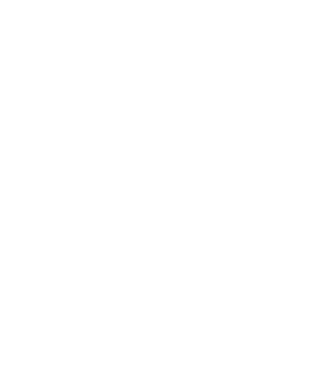 Black and white book cover with the title 'A Novel by Sézane' and the author's name 'Stéphane Falaise'.
