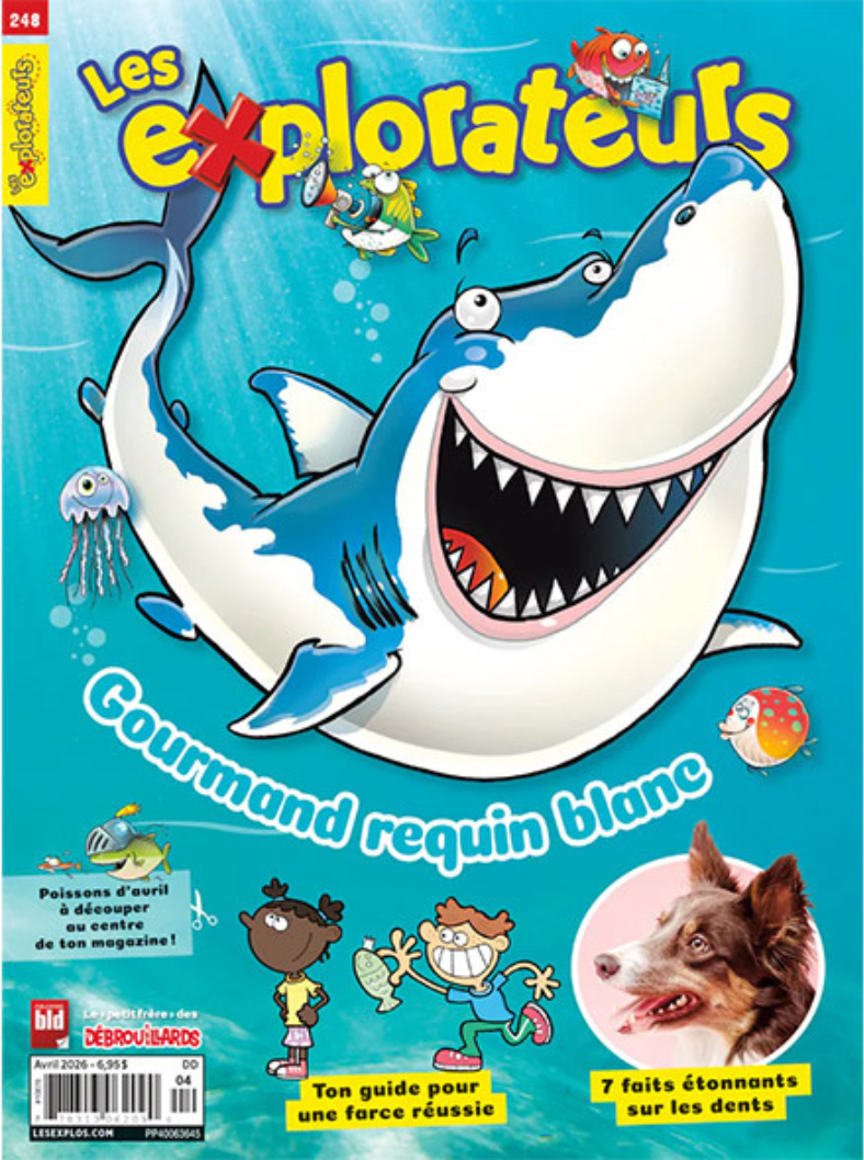 Couverture de magazine illustrée avec un grand requin blanc souriant, entouré de petits poissons, une méduse, et un chien dans un cercle blanc à droite. Titre : "Les explorateurs" et sous-titre : "Gourmand requin blanc".