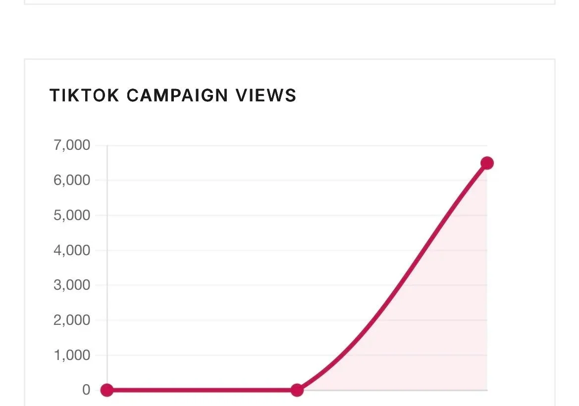 Targeted Advertising Campaigns