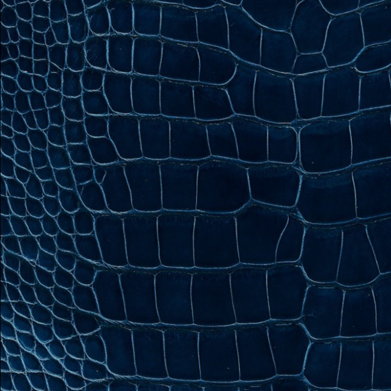 Close-up of dark blue alligator or crocodile skin with textured, scaly pattern and stitched outlines.