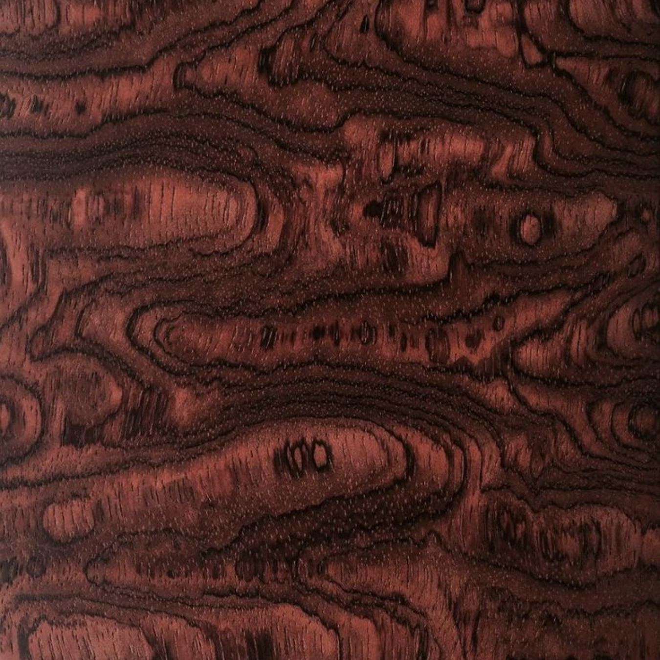 Close-up of a dark brown piece of wood with intricate black grain patterns and swirling lines.