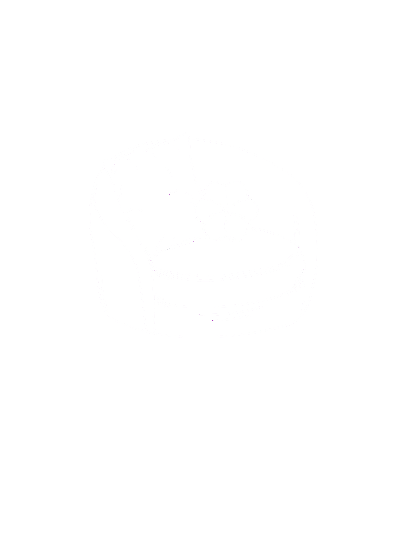 A line drawing of a round, cushioned armchair with a flower-shaped pillow on the backrest.