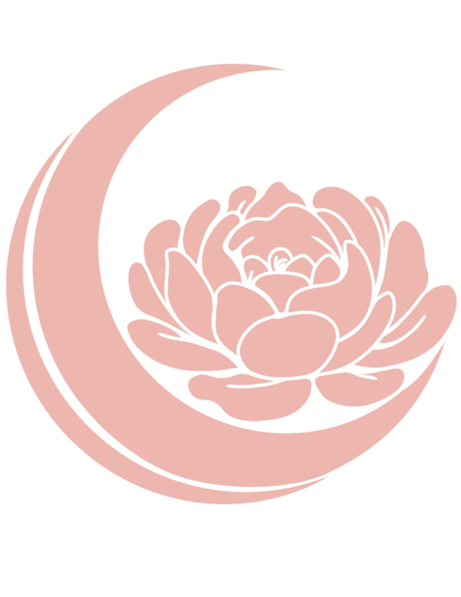 Midnight Bloom