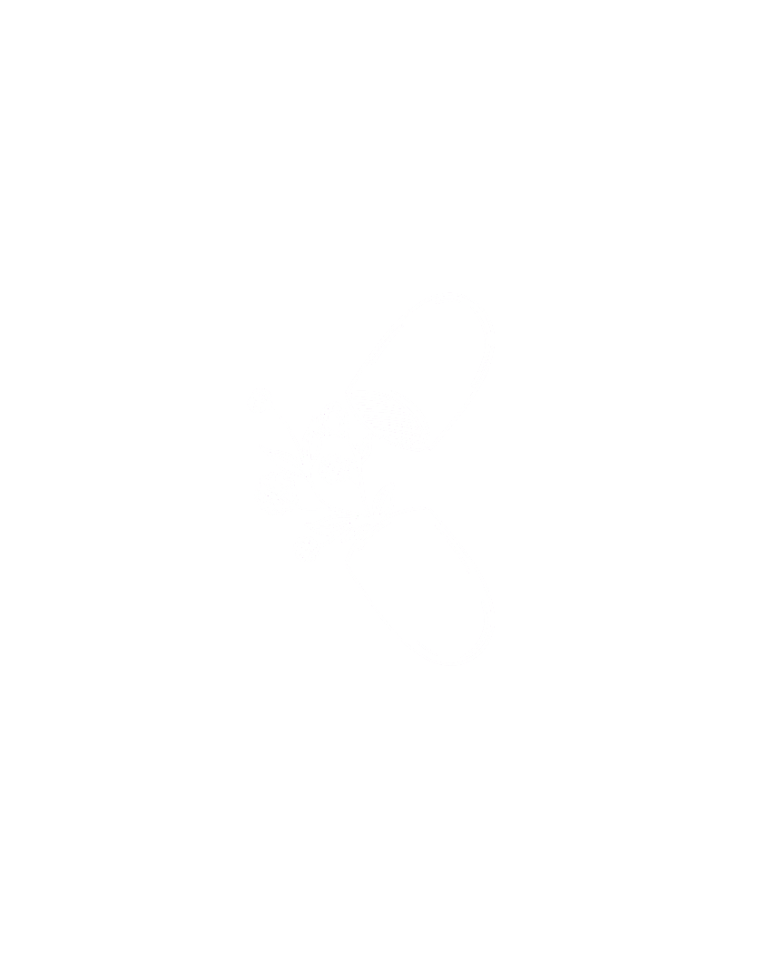 White line drawing of a pill capsule with flowers and leaves emerging from it on a black background.