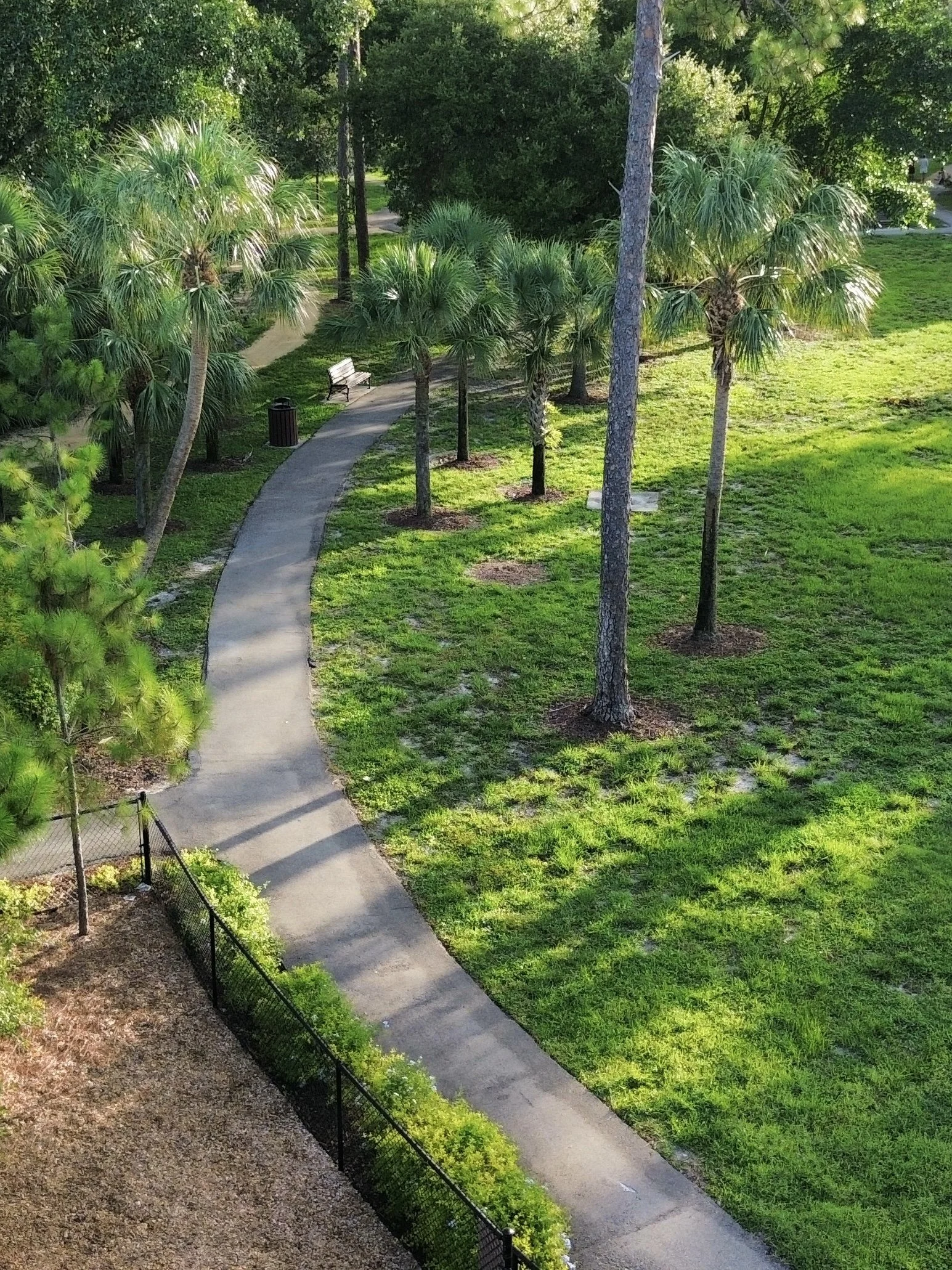 dji_fly_20260714_193000_63_1784130451389_photo_optimized.jpeg