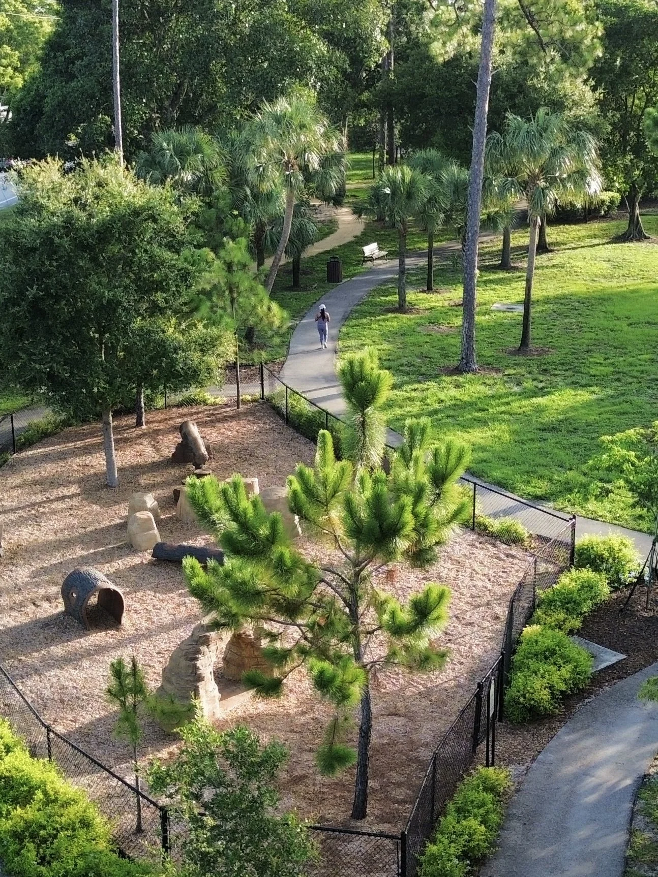 Aerial of jogger on pathway at Covered Bridge Park