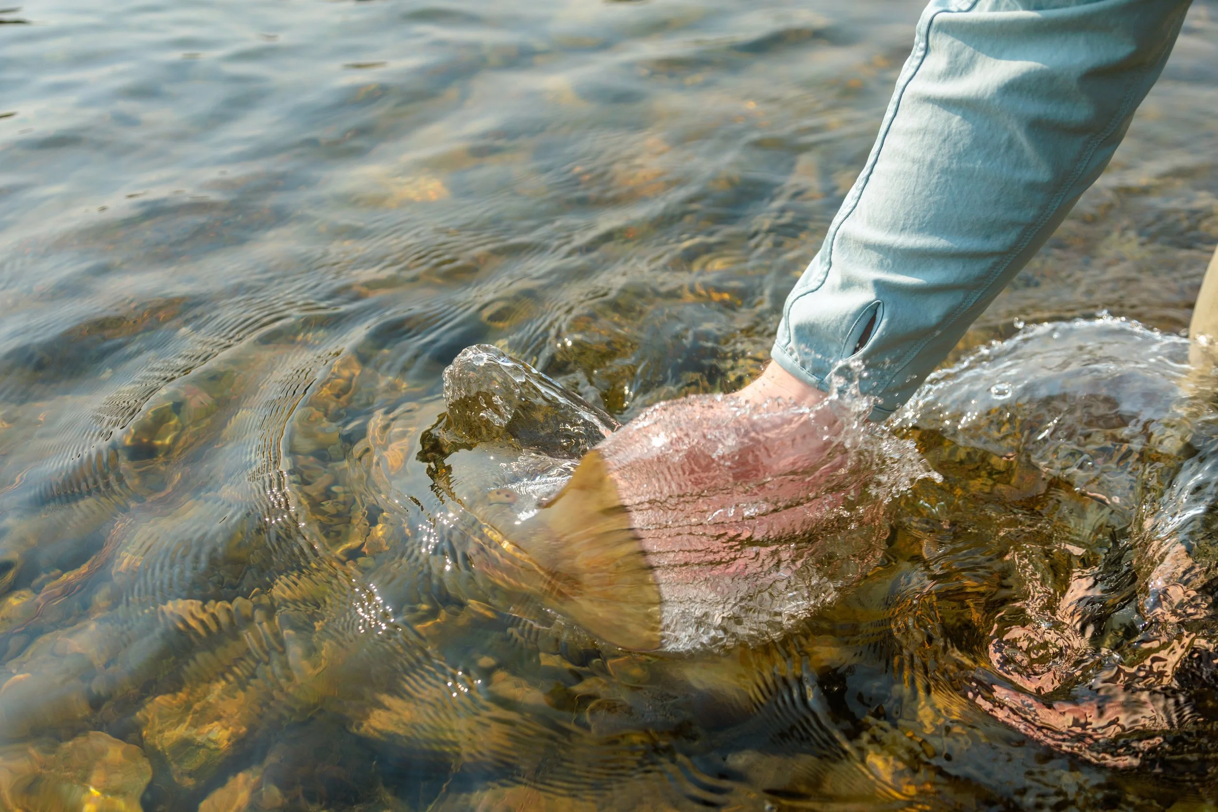 2638_MT Fly Fishing SOA_JCS_HighRes-131.jpg