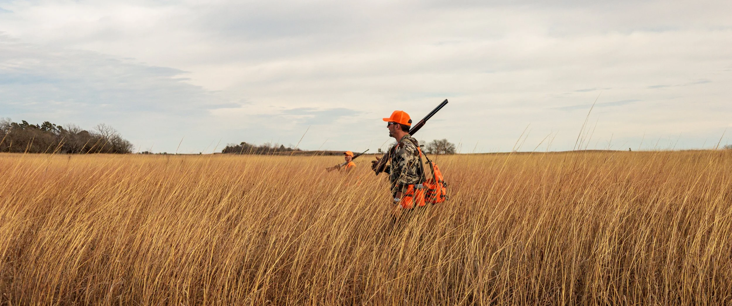 2638_Kansas Quail SOA_JCS_HiRes-068.jpg