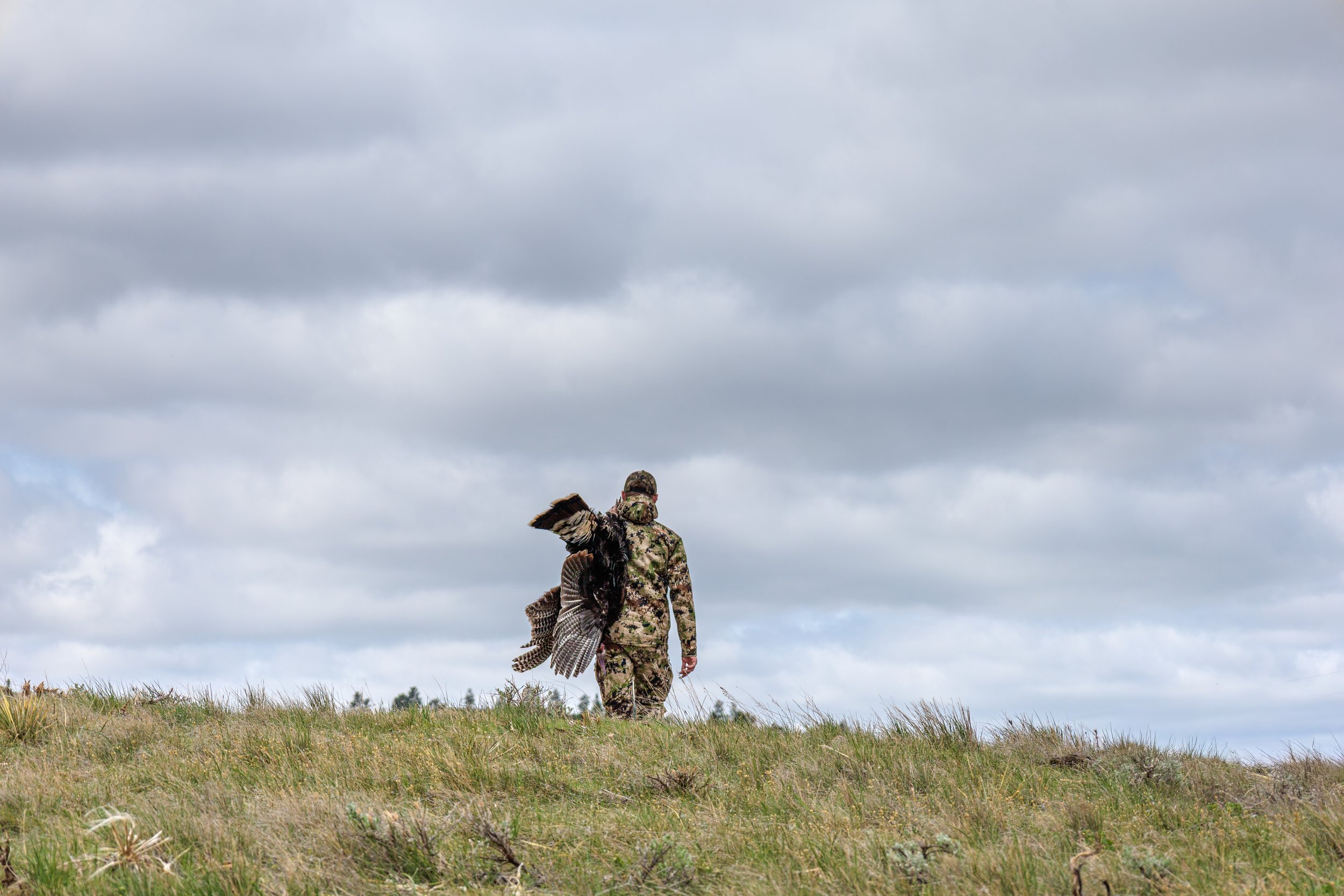 A person in camouflage clothing walking in an open grassy area, holding a bird of prey with outstretched wings against a cloudy sky.