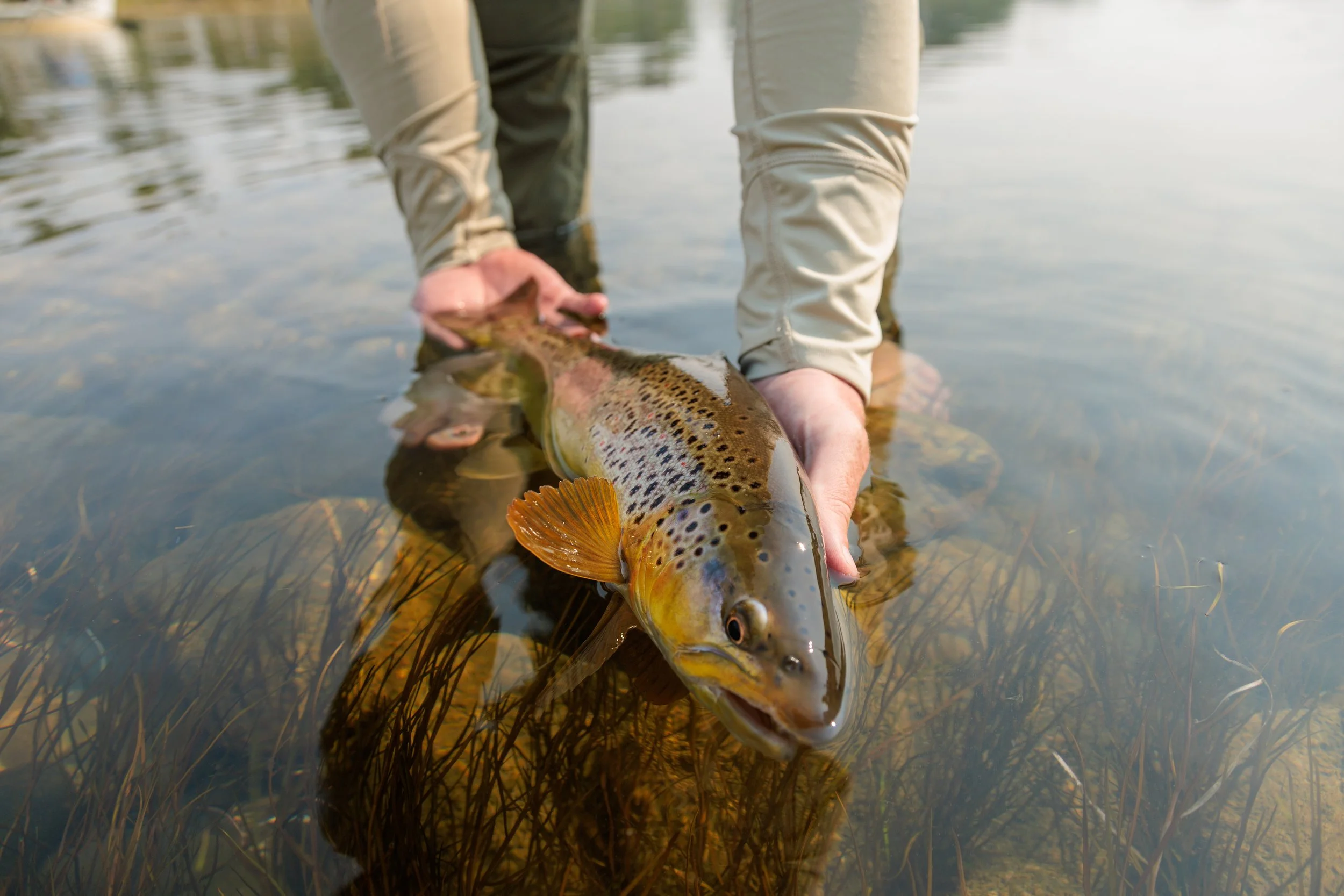 2638_MT Fly Fishing SOA_JCS_HighRes-170.jpg