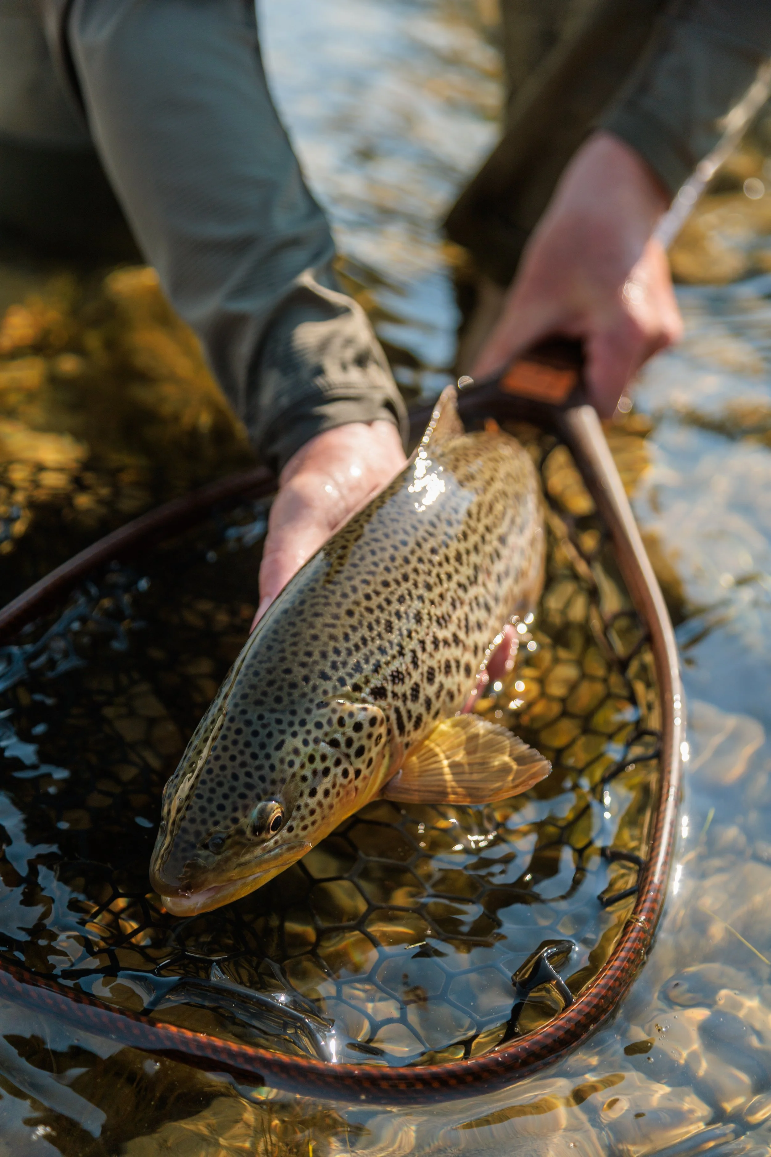 2638_MT Fly Fishing SOA_JCS_HighRes-52.jpg