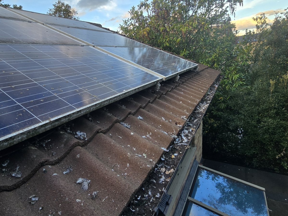 Solar panels installed on a residential roof with trees and blue sky in the background.