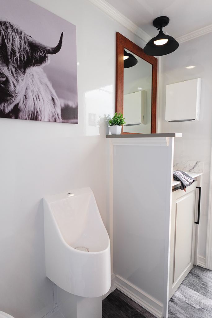 Indoor bathroom with a white urinal, a small potted plant on a ledge, a large mirror with a wooden frame, and a black ceiling light fixture.