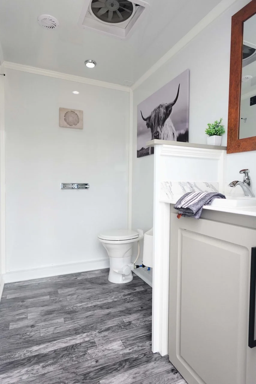 A small bathroom with white walls, a toilet, a gray towel hanging on a white sink, a potted plant, and artwork of a Highland cow on the wall. There is a wooden-framed mirror, recessed lighting, and a gray wood-look floor.